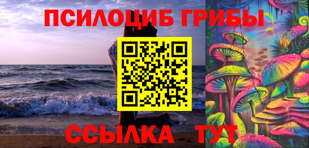Ишимбай  Псилоцибиновые грибы Psilocybe  Вход с VPN 